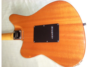 Fender Bassman (Blackface) (82096)