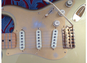 Fender Vintage Player Limited '50s Stratocaster (69032)