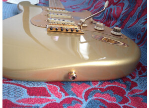 Fender Vintage Player Limited '50s Stratocaster (35461)