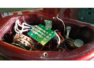 Music Man Luke (Vintage Tremolo) (15385)