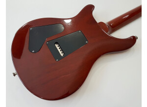 PRS Custom 24 Birds Cherry Sunburst (39503)