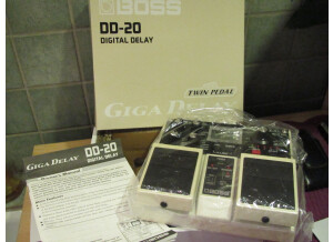 Boss DD-20 Digital Delay
