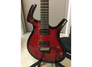 Parker Guitars Fly Mojo Flame