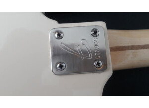 Fender Telecaster Bass [1971-1979] (89066)