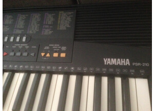 Yamaha PSR-210