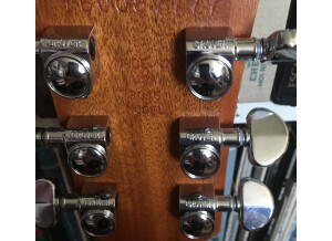 Gibson SG Naked (22110)