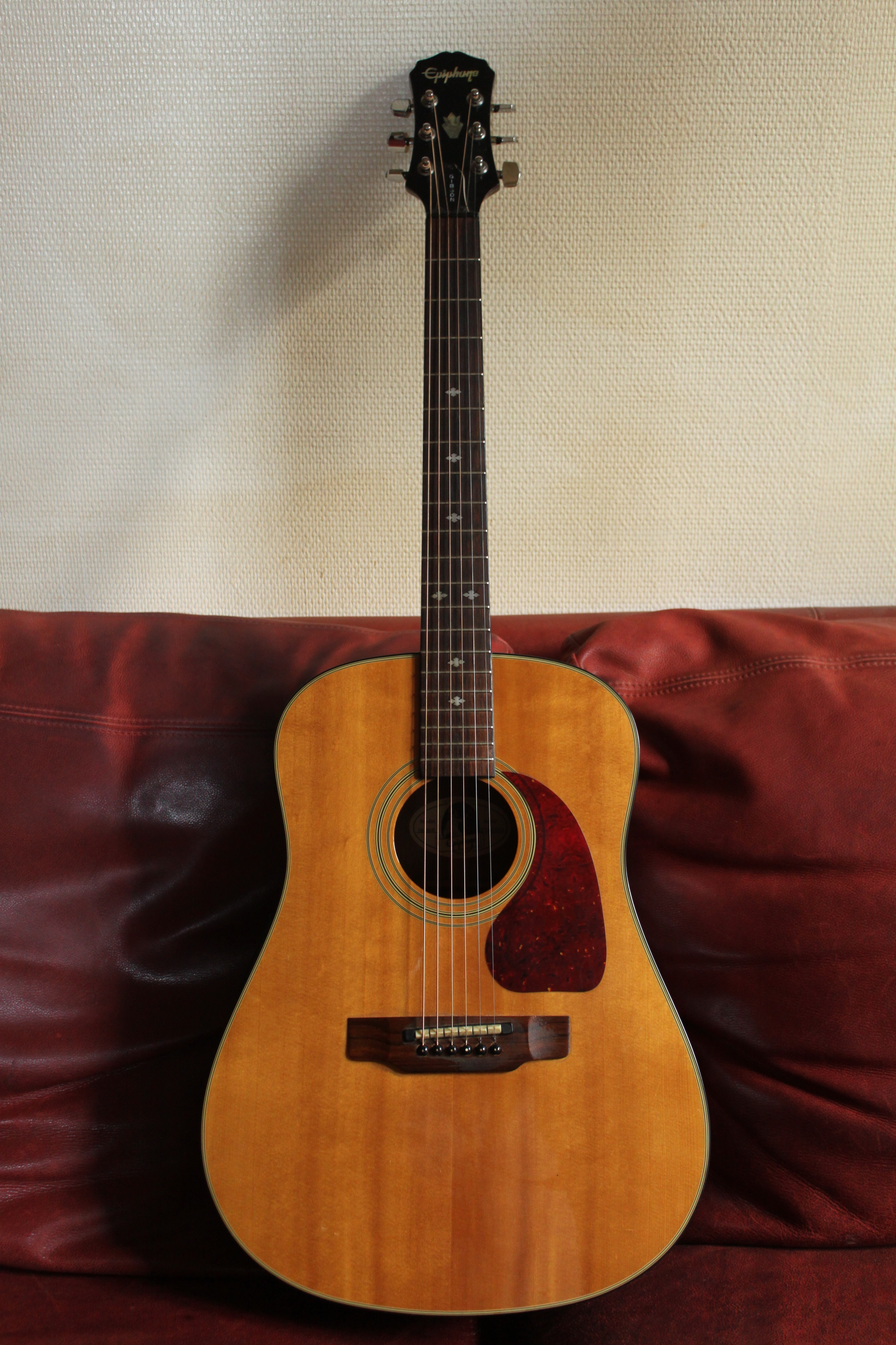 Epiphone PR-350E