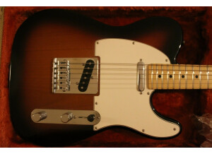 Fender Player Telecaster (77213)