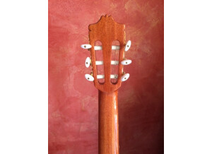 Alhambra Guitars 7 P