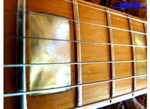 Gibson Black Beauty 1978