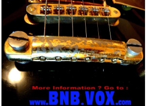 Gibson Black Beauty 1978