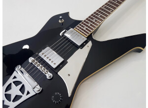 Washburn PS500 (99283)