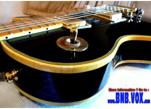 Gibson Black Beauty 1978