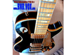 Gibson Black Beauty 1978
