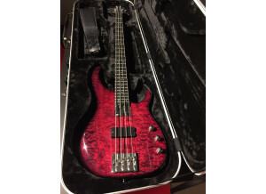 Modulus Guitars Quantum 4