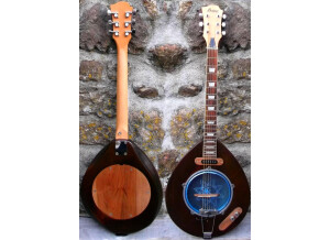 Washburn banjo guitare 6 cordes