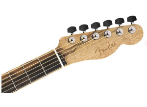 Fender American Acoustasonic Telecaster Ziricote (47419)