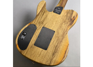 Fender American Acoustasonic Telecaster Ziricote (86845)