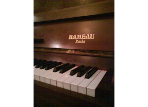 Rameau Paris (3874)