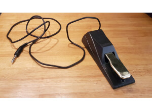 Lead Foot LFD-2 (43180)