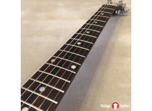 burny_FTV55_vintage_japan_guitars_4