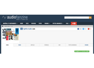 Spitfire Audio Moon Guitar (294)