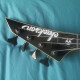 X Signature David Ellefson Concert Bass CBX V X Signature David Ellefson Concert Bass CBX V