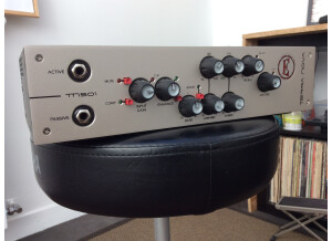 Eden Bass Amplification Terra Nova TN501 (66082)