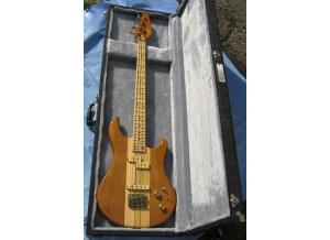 Vox Custom Bass