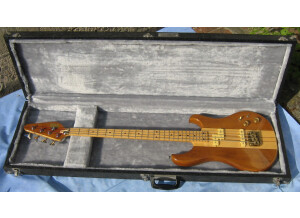 Vox Custom Bass (10460)