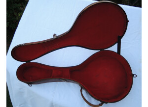 Banjo mandoline (7).JPG