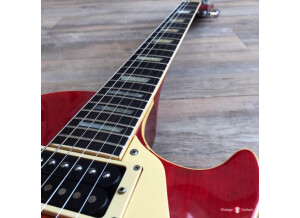 Greco_EG700_black_PAF_1977_vintage_japan_guitars_8