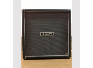 Ampeg SVT-810AV (14086)