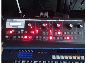 Moog SlimPhatty (2).JPG