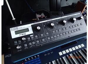 Moog SlimPhatty (3).JPG