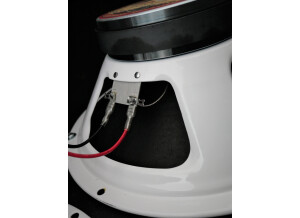 Port City Amps 212 (53471)