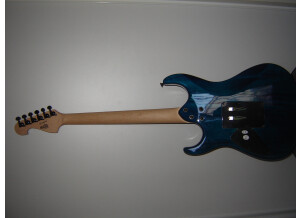 Washburn X 40 Pro Quilted