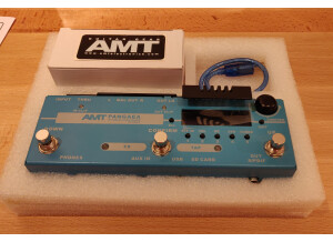 Amt Electronics Pangaea CP-100FX (73148)