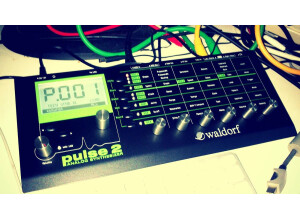 1913262_10203384859281650_1155449120_o