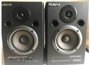 Roland DM-10 (76970)