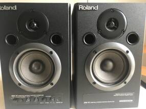 Roland DM-10
