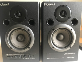Roland DM-10