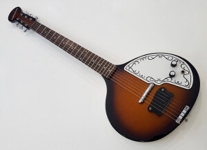 Danelectro Baby Sitar