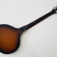 Baby Sitar Baby Sitar