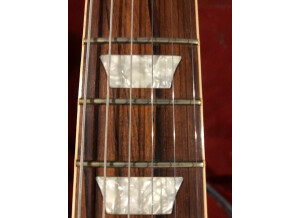 Gibson Les Paul Standard (72042)