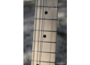 Fender James Burton Telecaster (54935)