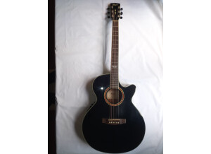 Line 6 Variax Standard Limited Edition Onyx (83774)