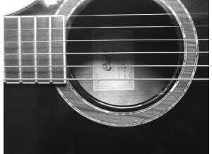 Line 6 Variax Standard Limited Edition Onyx (14906)