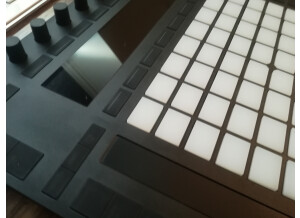 Ableton Push 2 (62849)