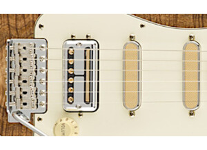 Fender Rarities Flame Koa Top Stratocaster